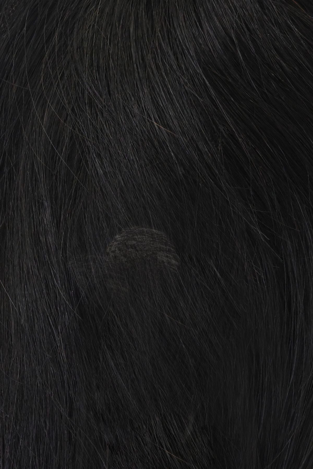 10” Human Hair Clip in Bangs with String