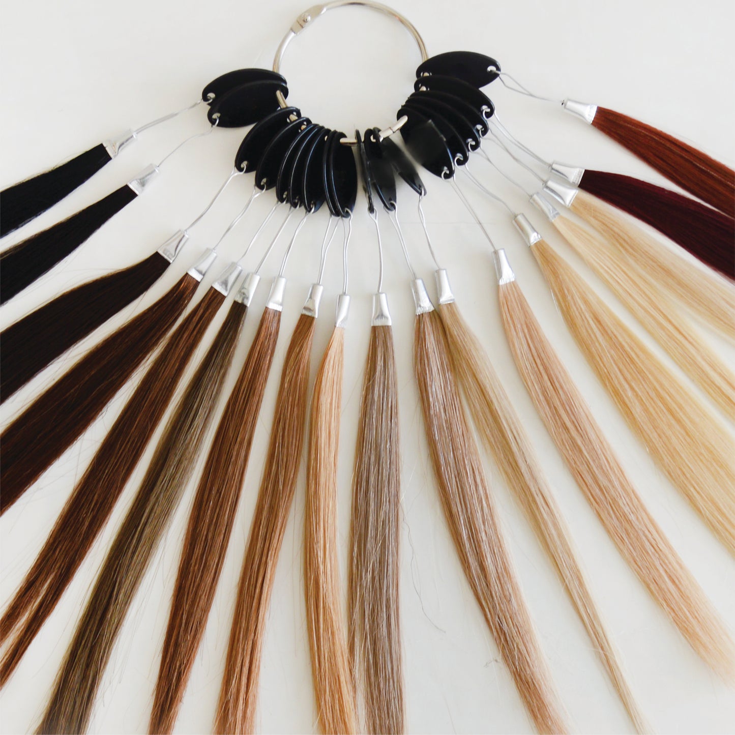 Clip In & Ponytail Color Swatches